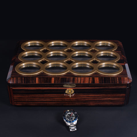 Luxury Watch Organizer