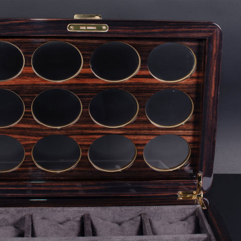 Luxury Watch Organizer