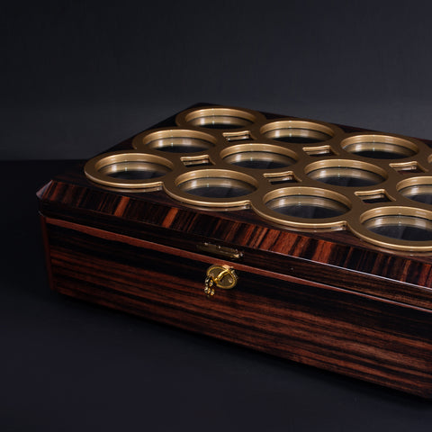 Luxury Watch Organizer