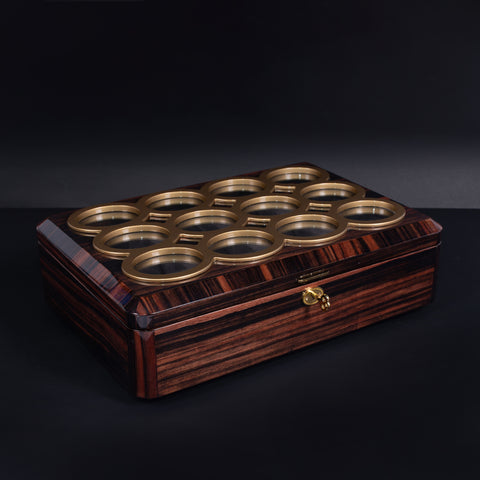 Luxury Watch Organizer