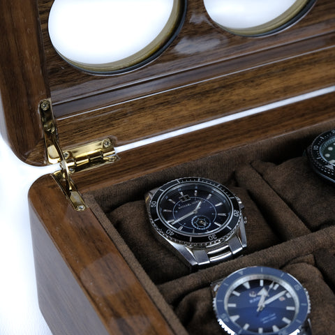 Luxury Watch Organizer