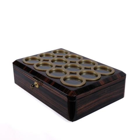 Luxury Watch Organizer
