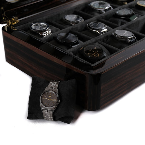 Luxury Watch Organizer