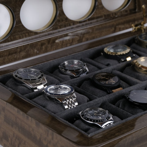 Luxury Watch Organizer