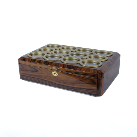 Luxury Watch Organizer