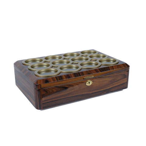 Luxury Watch Organizer