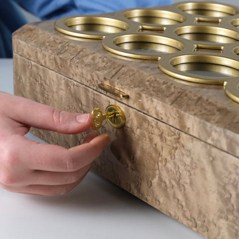 Luxury Watch Organizer