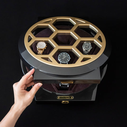 Luxury Watch Case