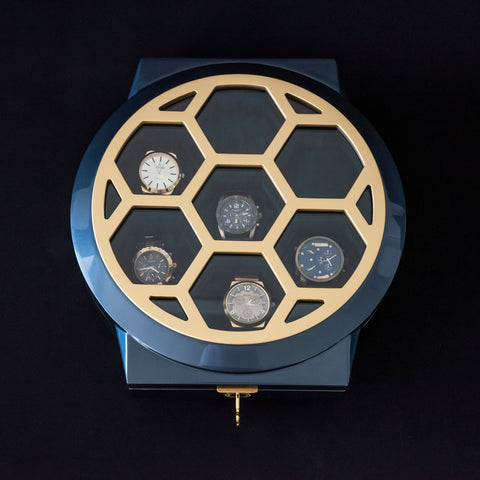 Luxury Watch Case