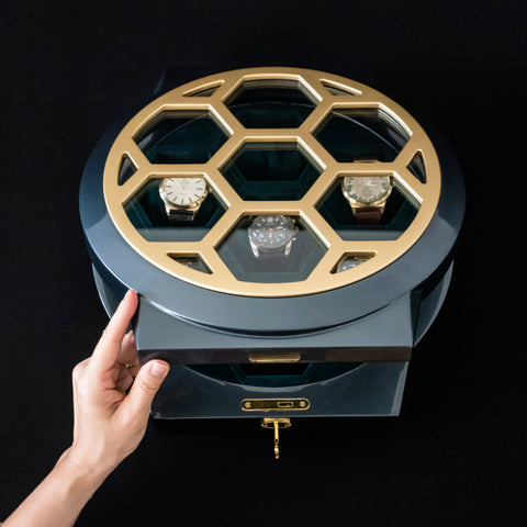Luxury Watch Case